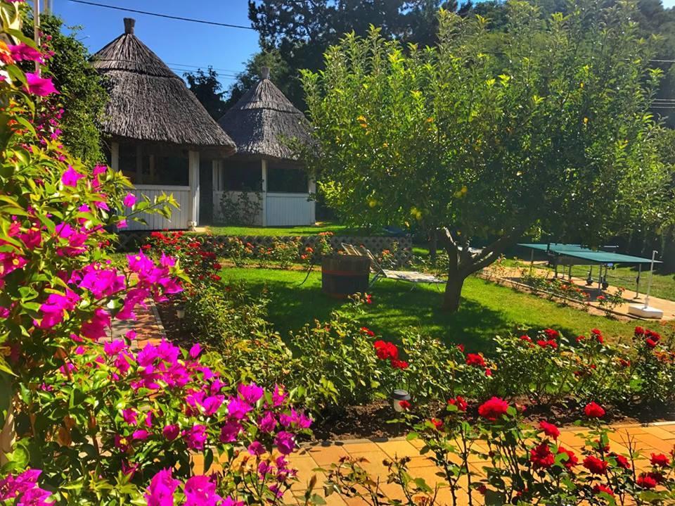 Rózsakert Vendégház Szigliget Exterior foto